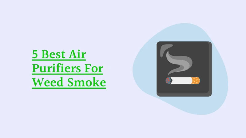 5 Best Air Purifiers For Weed Smoke