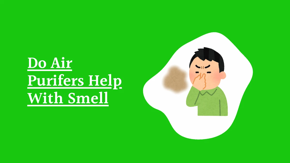 Do Air Purifers Help With Smell