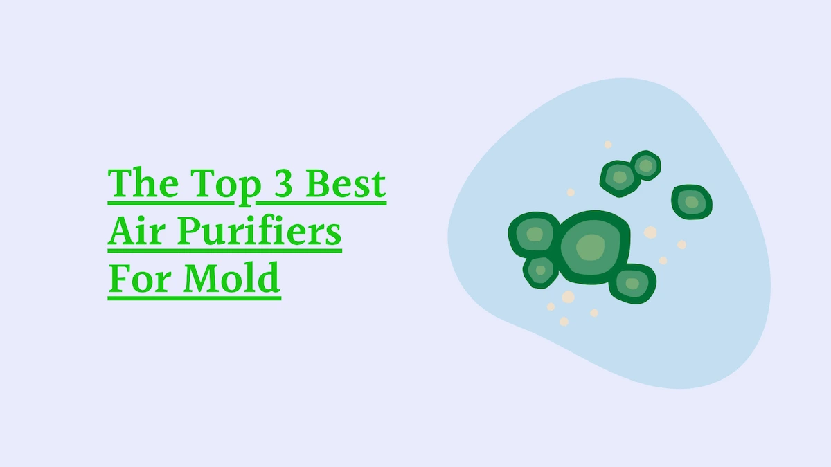 The Top 3 Best Air Purifiers For Mold